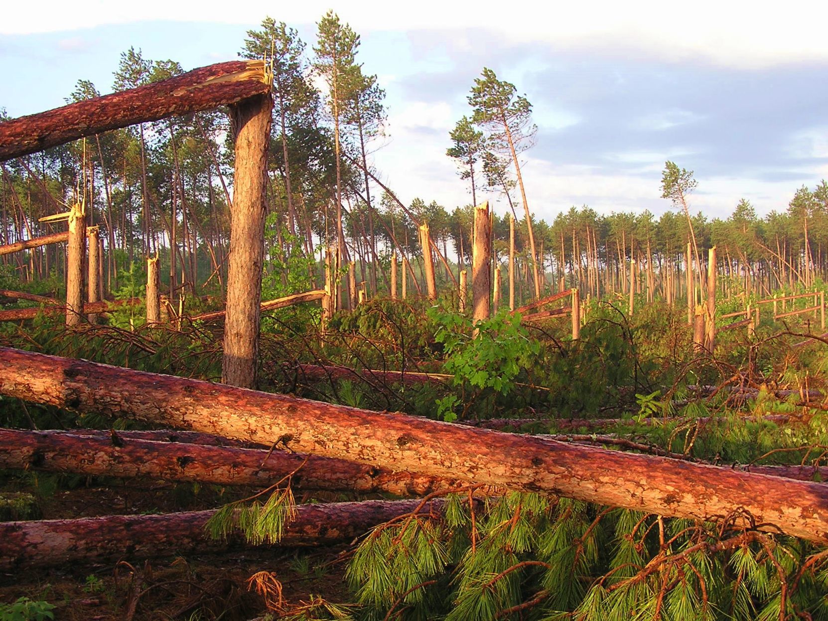 Storm damage